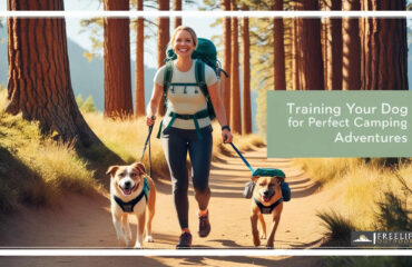 Training Your Dog for Perfect Camping Adventures