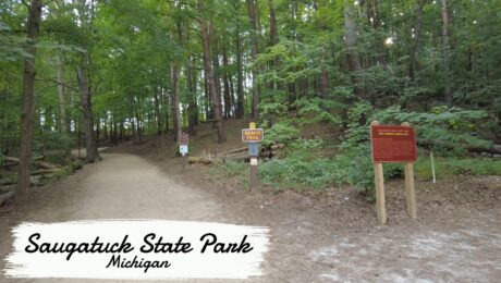 Saugatuck State Park Beach