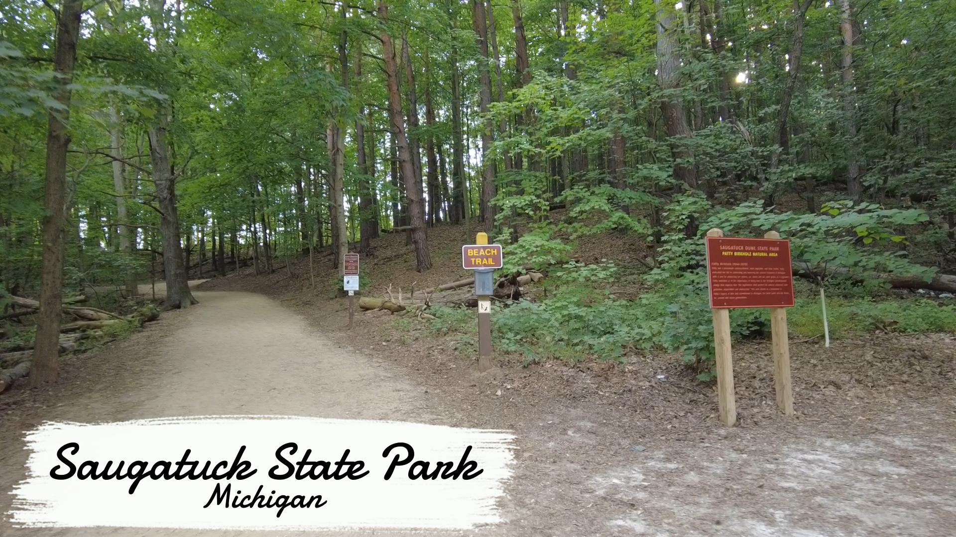 Saugatuck State Park Beach