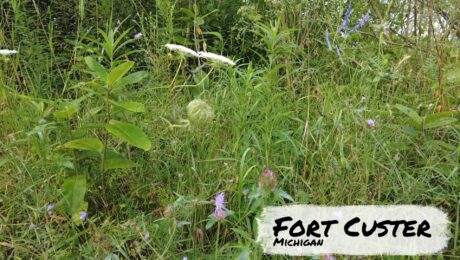 Fort Custer Hiking Trails