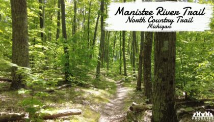 Manistee River Trail Hiking