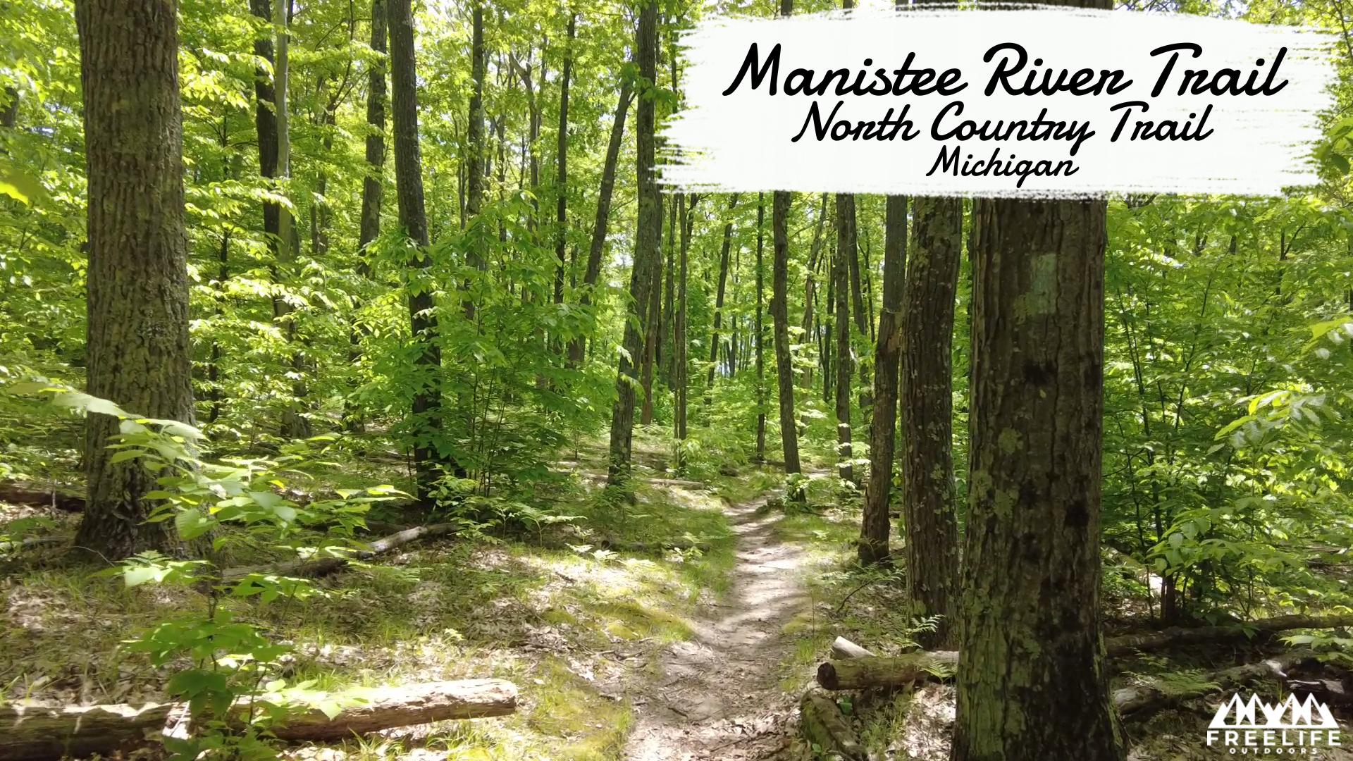 Manistee River Trail Hiking