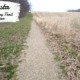 Hiking North Country Trail Section in Augusta Michigan
