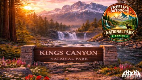 Kings Canyon National Park