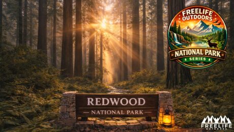 Redwood National Park