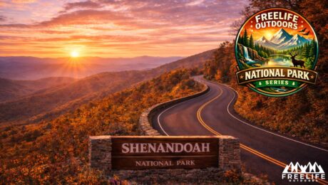 Shenandoah National Park