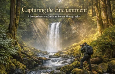 Capturing the Enchantment: A Comprehensive Guide to Forest Photography